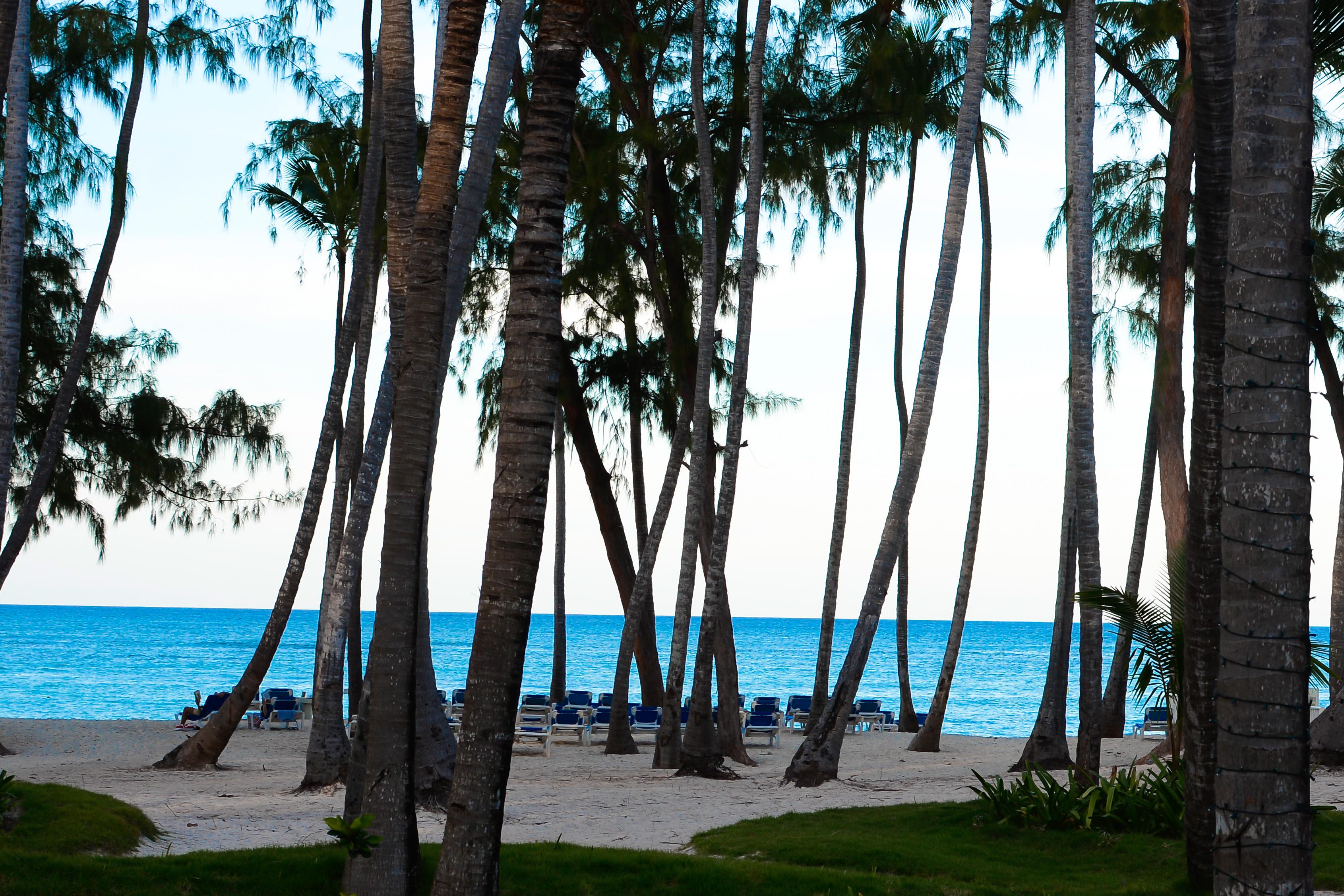 Vista Sol Punta Cana Kültér fotó